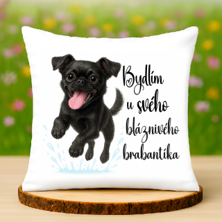 Polštář Grifonek brabantský