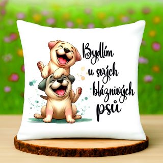 Polštář Bydlím u svých psů