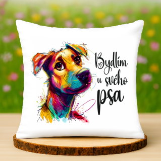 Polštář Bydlím u svého psa