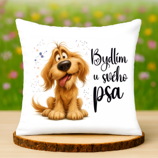 Polštář Bydlím u svého psa